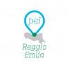 immagine news