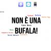 immagine news