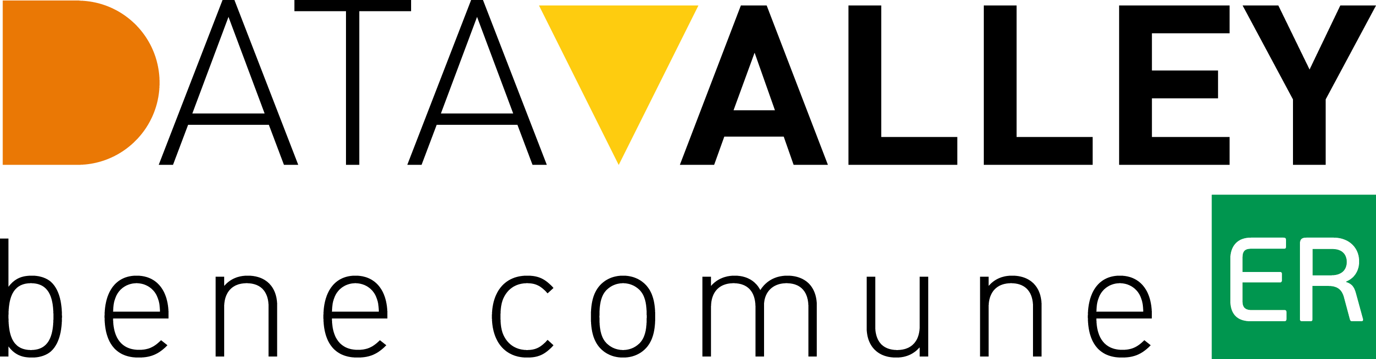 logo data valley