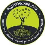 Immagine della news